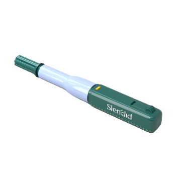 How To Lose Weight And Eat What You Want?